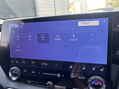 2024 Lexus RX photo 14
