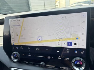 2024 Lexus RX photo 13