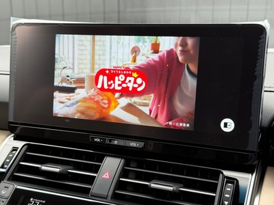 2026 Toyota LAND CRUISER 300 thumbnail 54