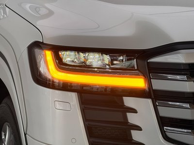 2026 Toyota LAND CRUISER 300 thumbnail 20