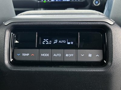 2024 Toyota LAND CRUISER 250 — фото 35