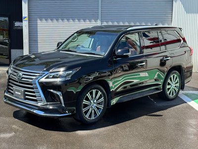 2016 Lexus LX 照片 10