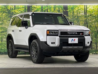 2025 Toyota LAND CRUISER 250 照片 16