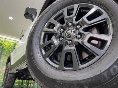2025 Toyota LAND CRUISER 250 照片 13