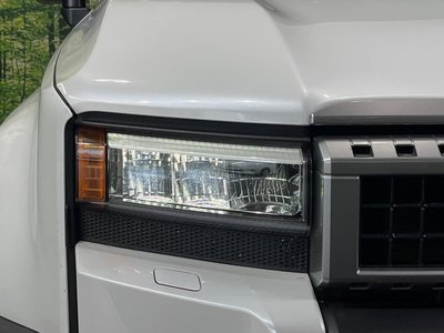 2025 Toyota LAND CRUISER 250 照片 59
