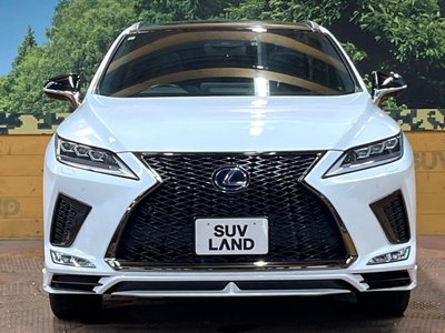2021 Lexus RX 缩略图 14