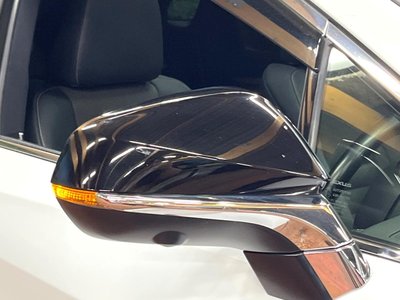 2021 Lexus RX 缩略图 58