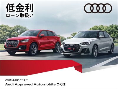 2023 AUDI Q8 E-TRON 照片 42