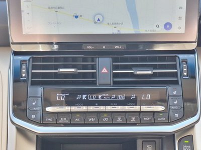 2025 Toyota LAND CRUISER 300 — фото 3