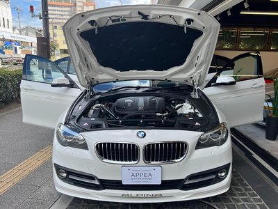2014 BMW Alpina D5 — фото 17