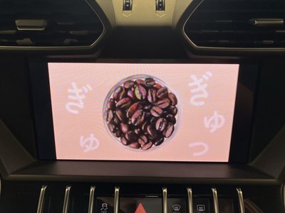 2019 Lamborghini URUS 照片 16