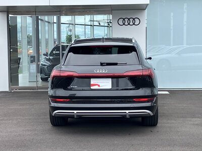 صورة مصغرة 78 لـ 2022 AUDI E-TRON