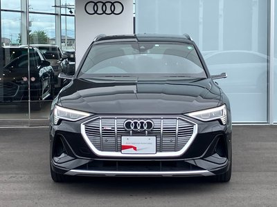 صورة مصغرة 75 لـ 2022 AUDI E-TRON