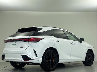2023 Lexus RX thumbnail 20