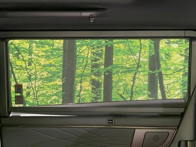 2025 Toyota ALPHARD 照片 63