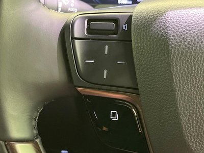 2025 Toyota ALPHARD 照片 42