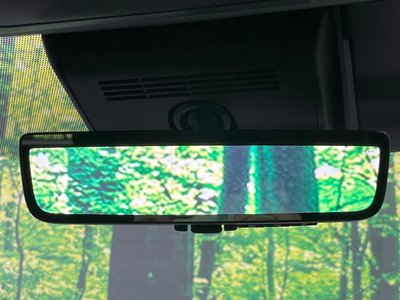 2025 Toyota ALPHARD 照片 28