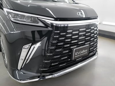 2024 Lexus LM 照片 64