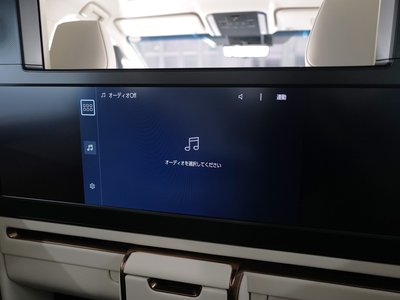 2024 Lexus LM 照片 18