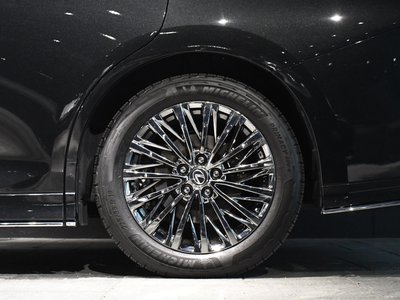 2024 Lexus LM 照片 58