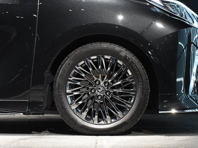 2024 Lexus LM 照片 60