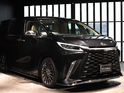 2024 Lexus LM 照片 51