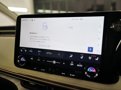 2024 Lexus LM 照片 30