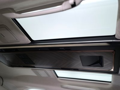 2024 Lexus LM 照片 48