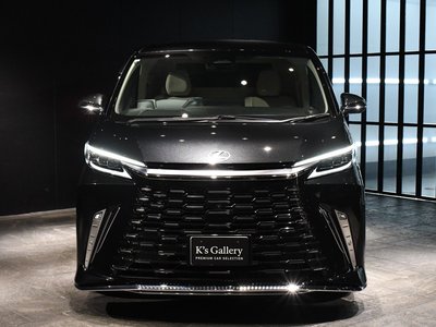 2024 Lexus LM 照片 50