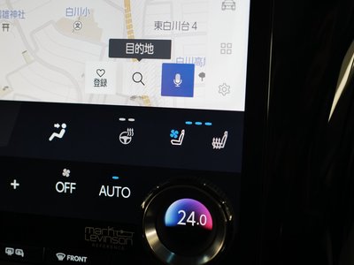 2024 Lexus LM 照片 34