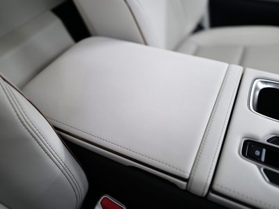 2024 Lexus LM 照片 39