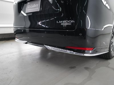 2024 Lexus LM 照片 68