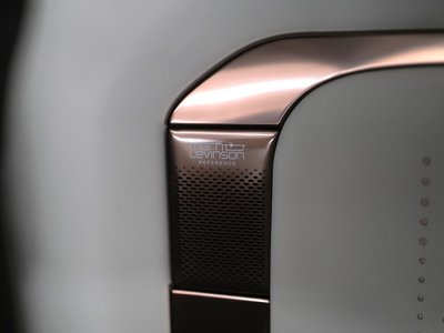 2024 Lexus LM 照片 40