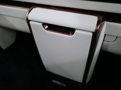 2024 Lexus LM 照片 20
