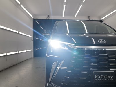 2024 Lexus LM 照片 52