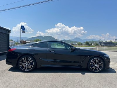 2021 BMW 8 SERIES photo 8