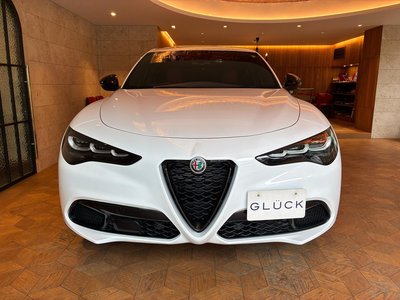2025 ALFA Romeo STELVIO — фото 3