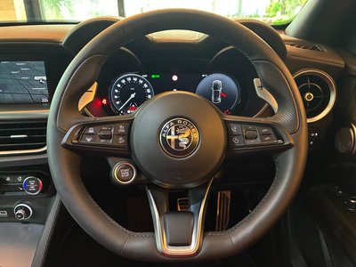 2025 ALFA Romeo STELVIO — фото 10