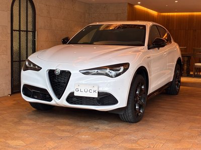 2025 ALFA Romeo STELVIO — фото 1