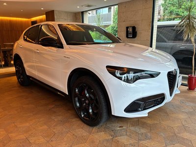 2025 ALFA Romeo STELVIO — фото 8