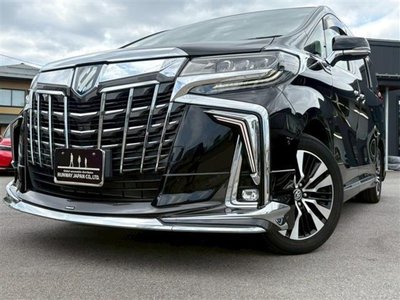 2023 Toyota ALPHARD 照片 12