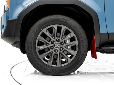 2025 Toyota LAND CRUISER 250 照片 13
