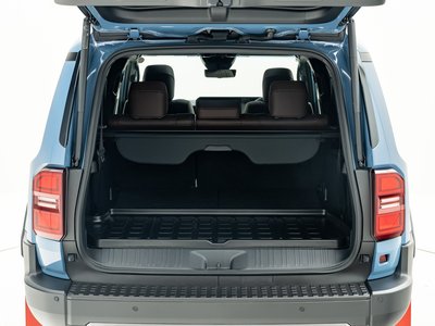 2025 Toyota LAND CRUISER 250 照片 39