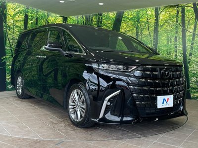 2024 Toyota ALPHARD — фото 16