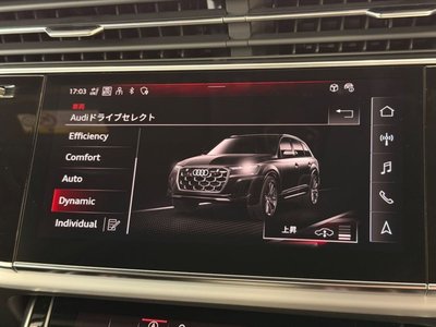 2025 AUDI Q7 — миниатюра 33