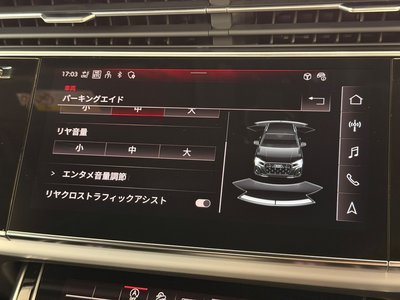 2025 AUDI Q7 — миниатюра 37