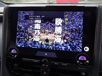 2024 Toyota ALPHARD 照片 22