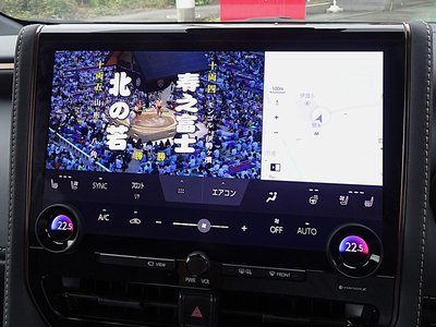 2024 Toyota ALPHARD 照片 12