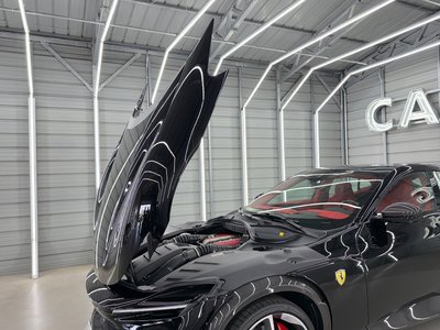 2025 Ferrari PUROSANGUE — миниатюра 21