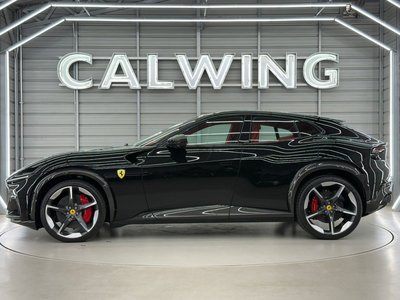 2025 Ferrari PUROSANGUE — миниатюра 24